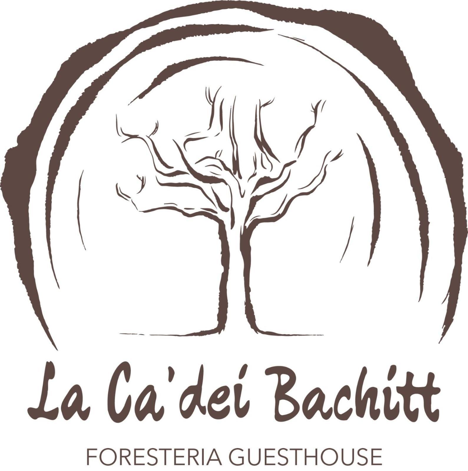 Foresteria Guesthouse Ca' Dei Bachitt Лиерна Екстериор снимка
